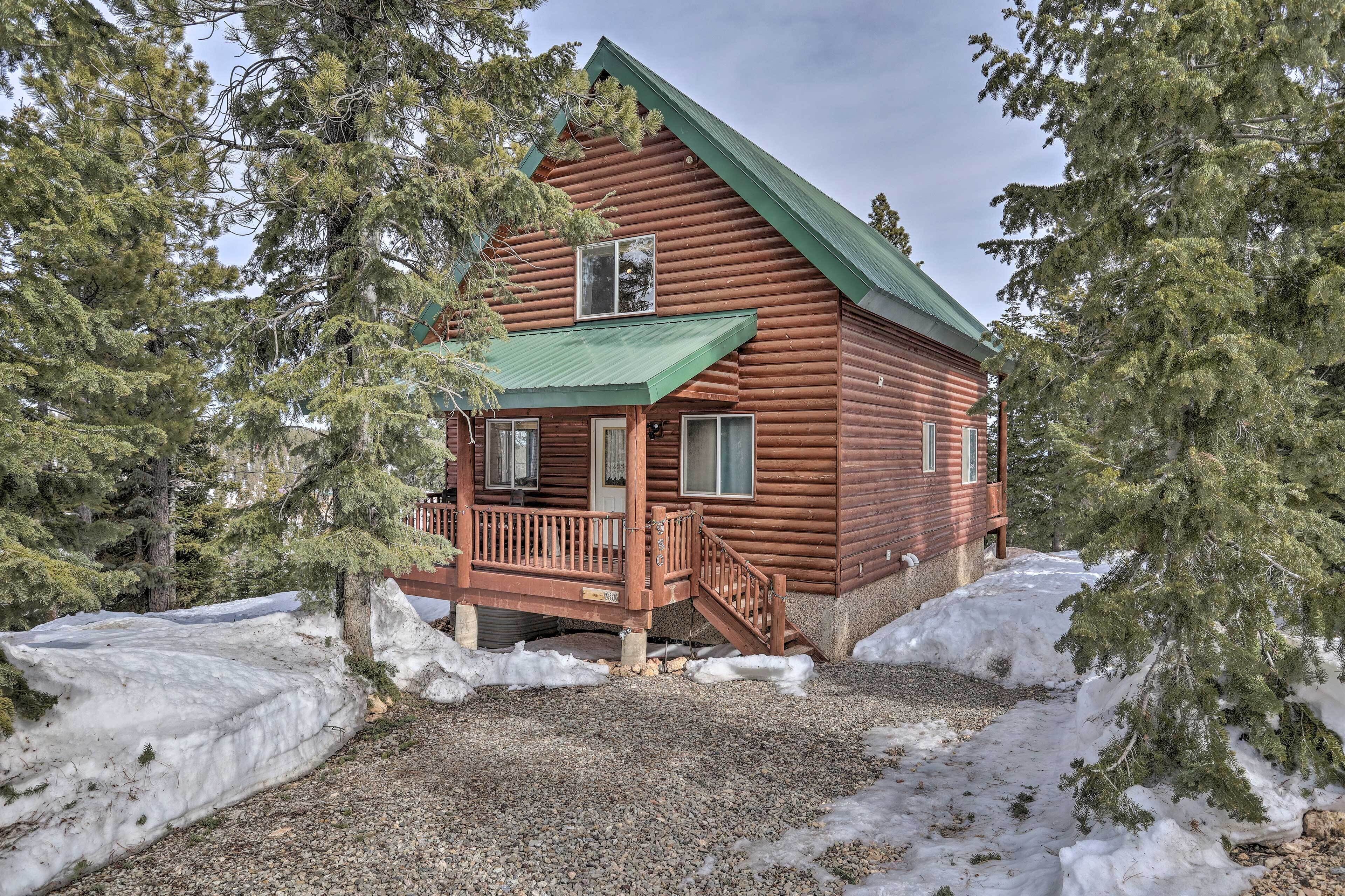 Serene Pet-Friendly Cabin w/ Fire Pit & Loft!