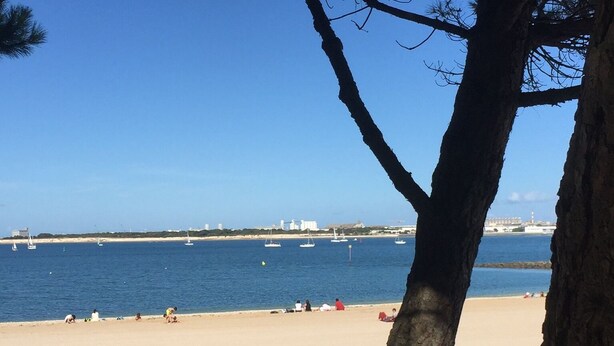 Une plage avec un ciel dégagé, un rivage sablonneux et quelques personnes.