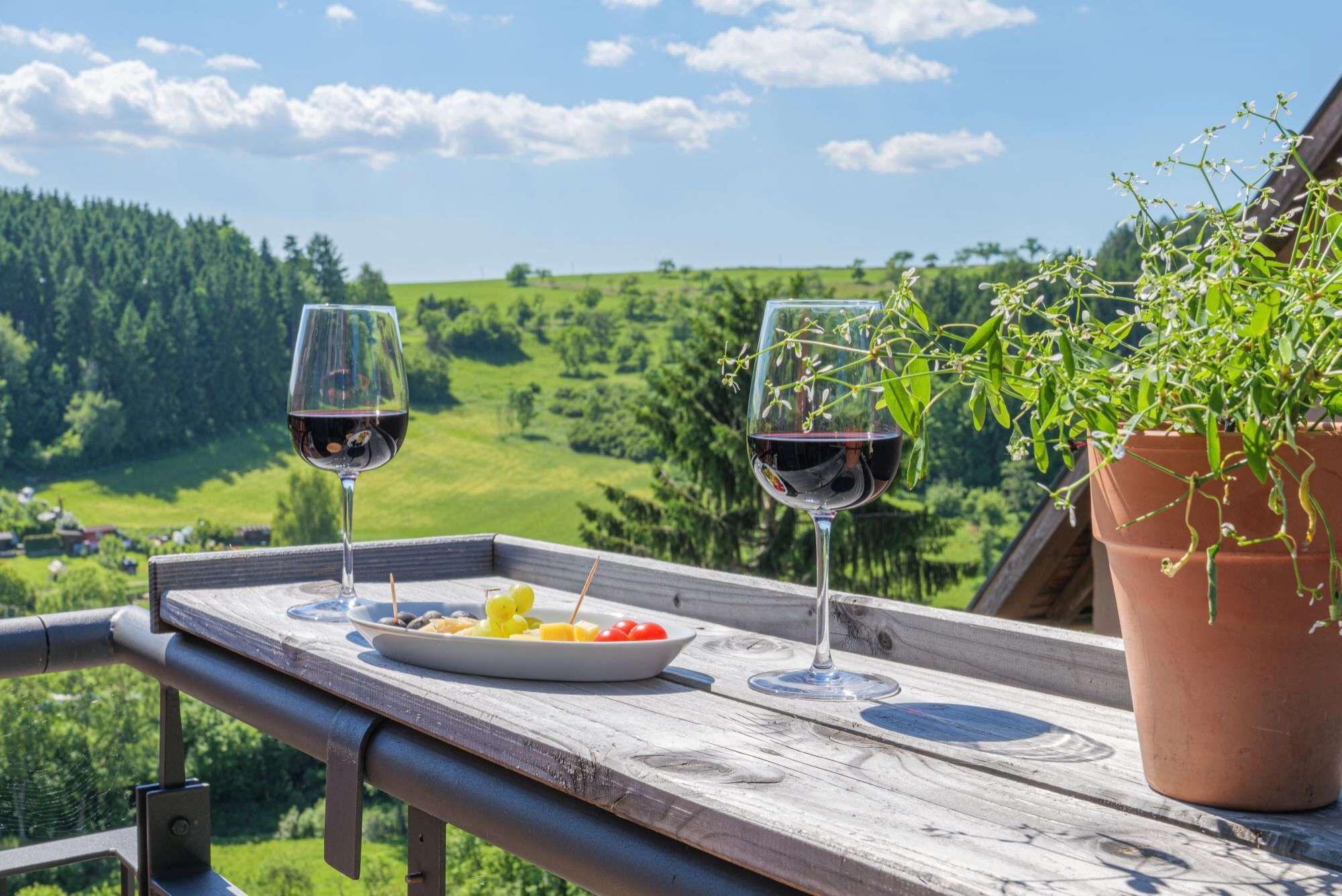 A wooden deck with two wine glasses and a plate of food, overlooking a green landscape.