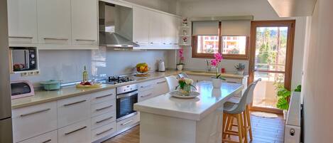 Fridge, microwave, oven, coffee/tea maker