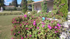 Een tuin met roze bloemen, een gebouw met een pannendak en een verzorgd gazon.