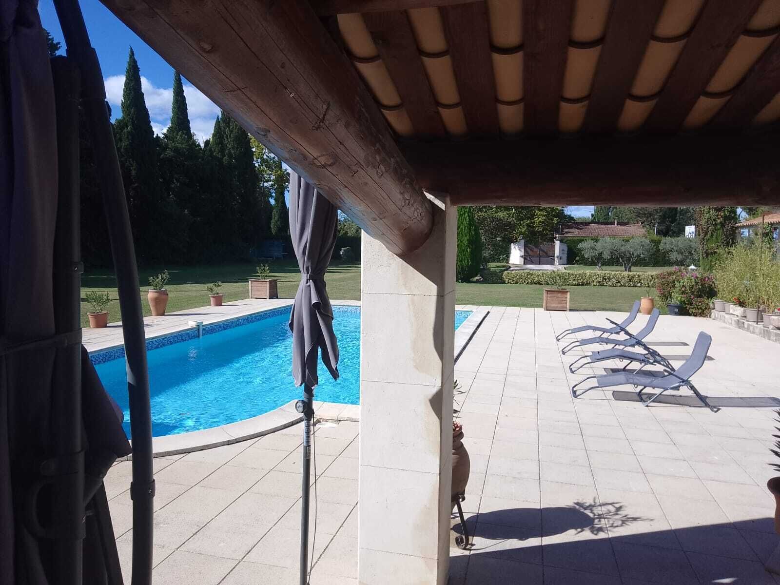 Ein überdachter Außenbereich mit Pool, Liegestühlen und einem Hund auf einem Rollstuhl.