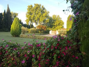 Property grounds - Cottage 4 people (Eygalières)