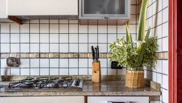 Een koelkast, een magnetron, een kookplaat