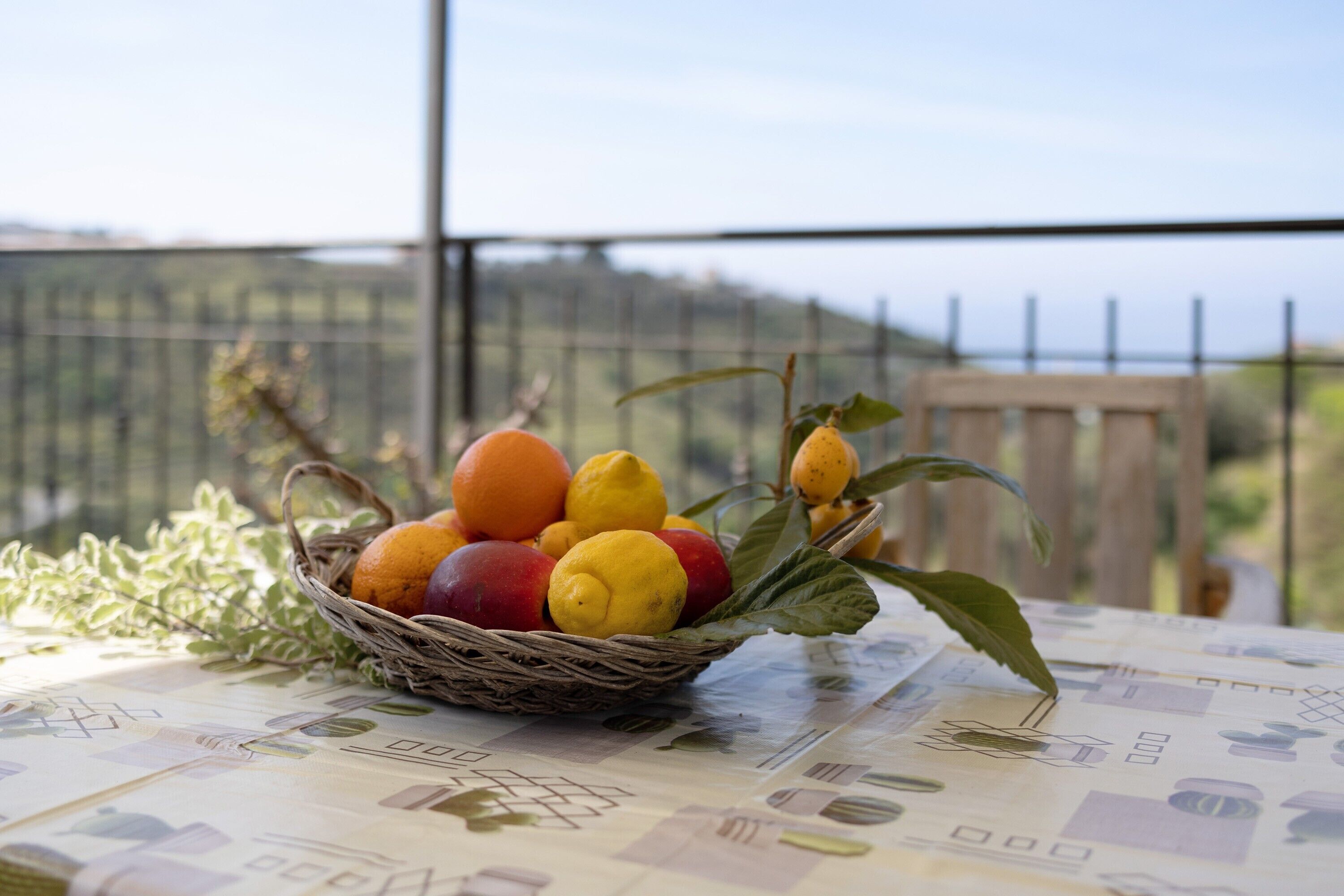 Un cesto di vimini con frutta su un tavolo con una tovaglia decorata, una pianta, e sullo sfondo una recinzione e vegetazione.