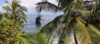 Casa Freya - Spacious new jungle villa, pool & AC