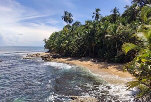 Beach - Casa Minerva - Modern new Jungle 1BD house AC & TV (Puerto Viejo de Talamanca)