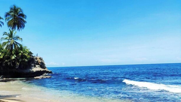 Une plage avec une eau d’un bleu limpide, un rivage sablonneux et des palmiers.