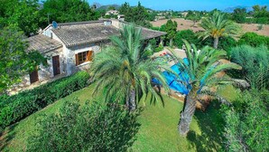 Una villa con piscina, rodeada de exuberante vegetación y palmeras.