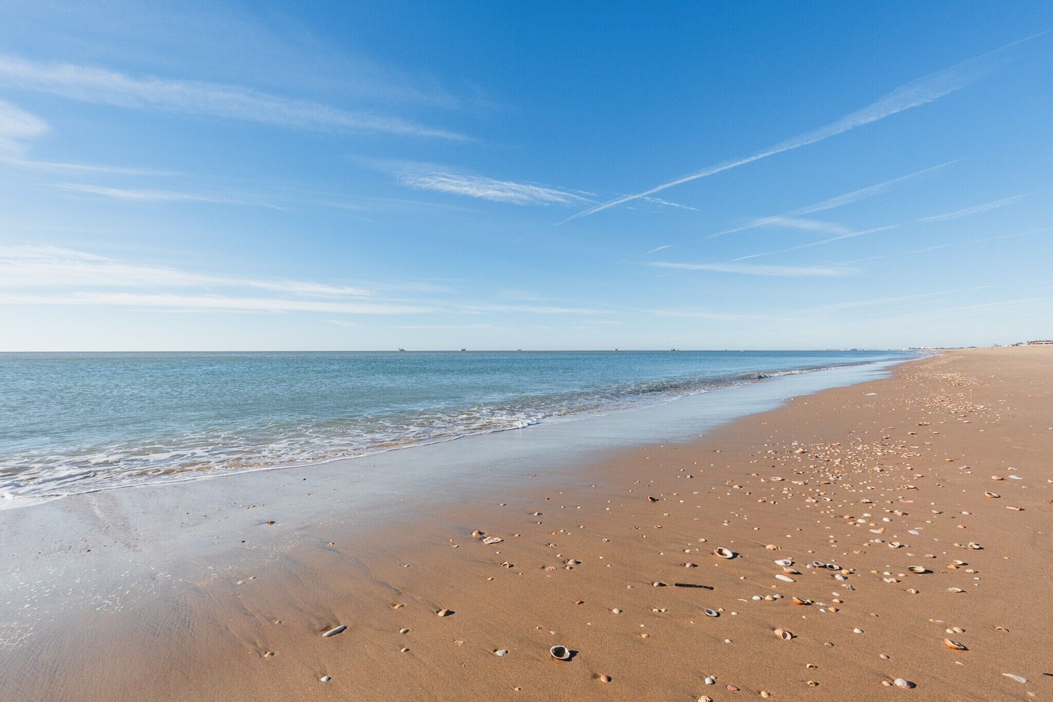 Una playa con cielo despejado y mar tranquilo.