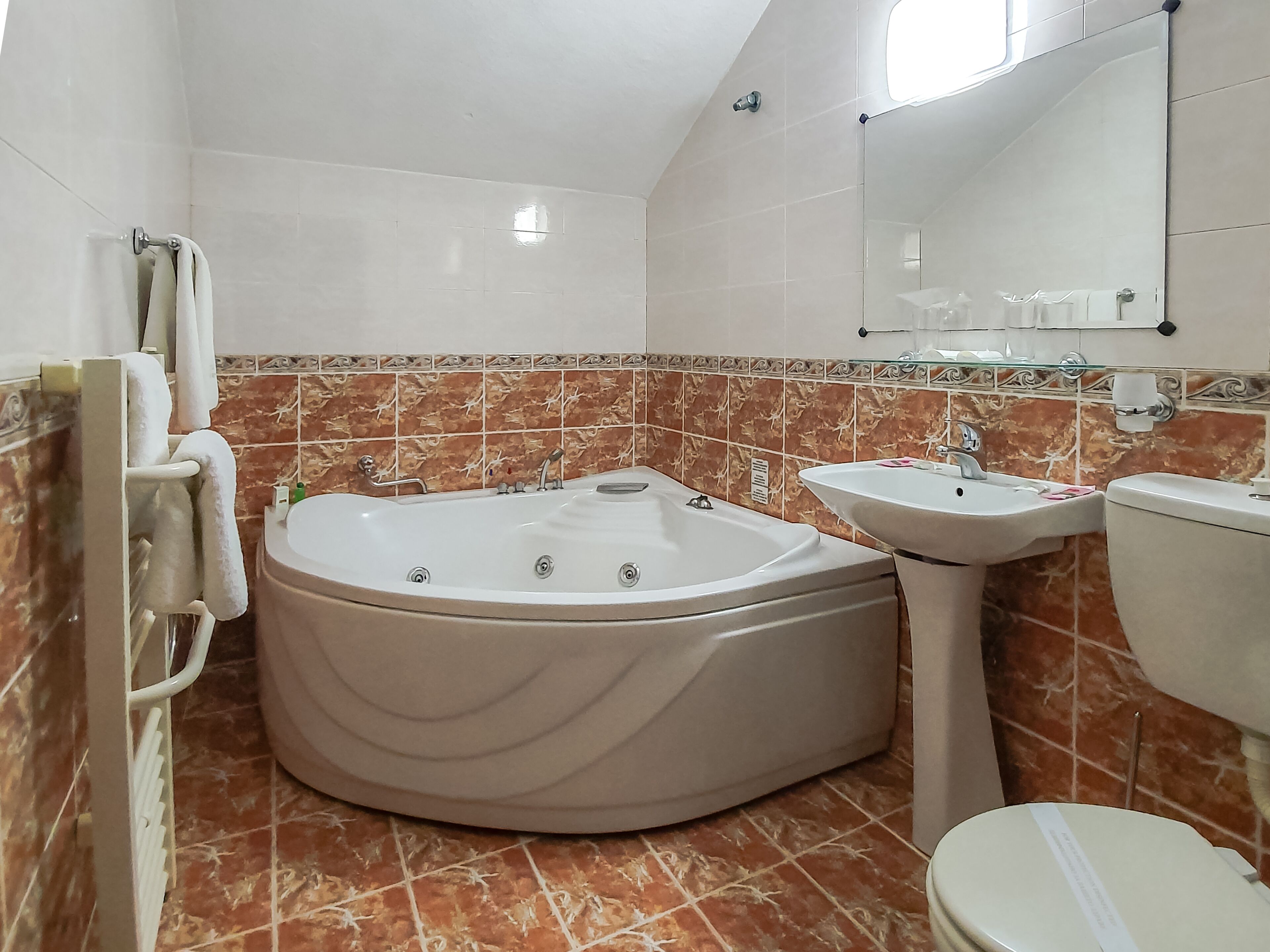 Foto - Dolna Bania Hotel