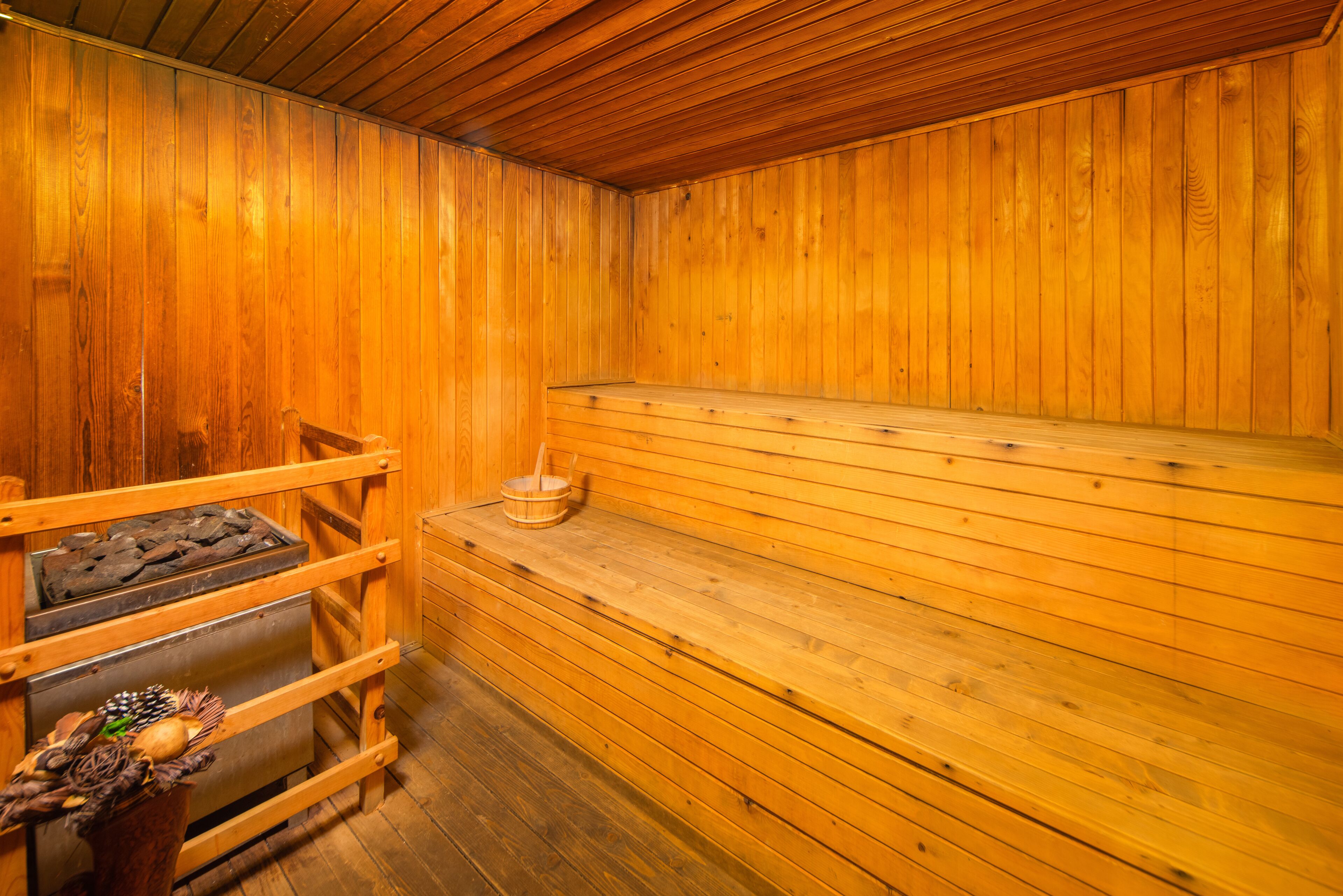 Foto - Dolna Bania Hotel