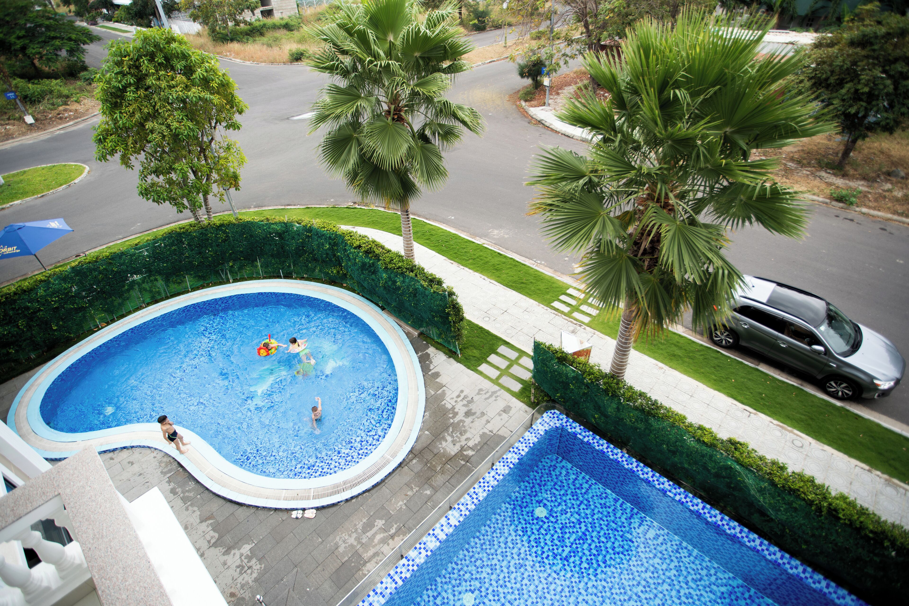 Una piscina residenziale dalla forma sinuosa, circondata da un prato curato e palme.