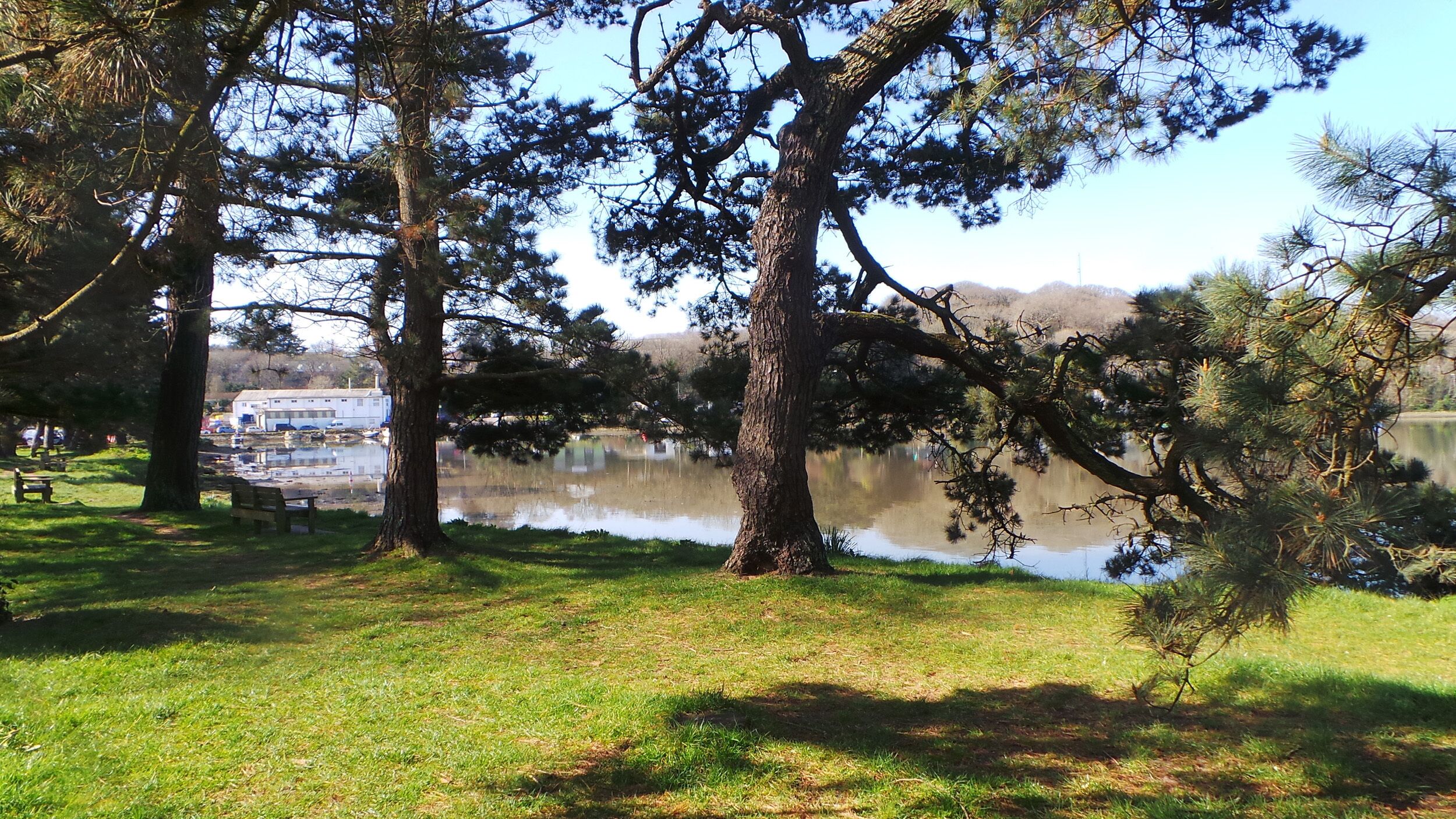 Un parque con un lago, bancos y árboles.