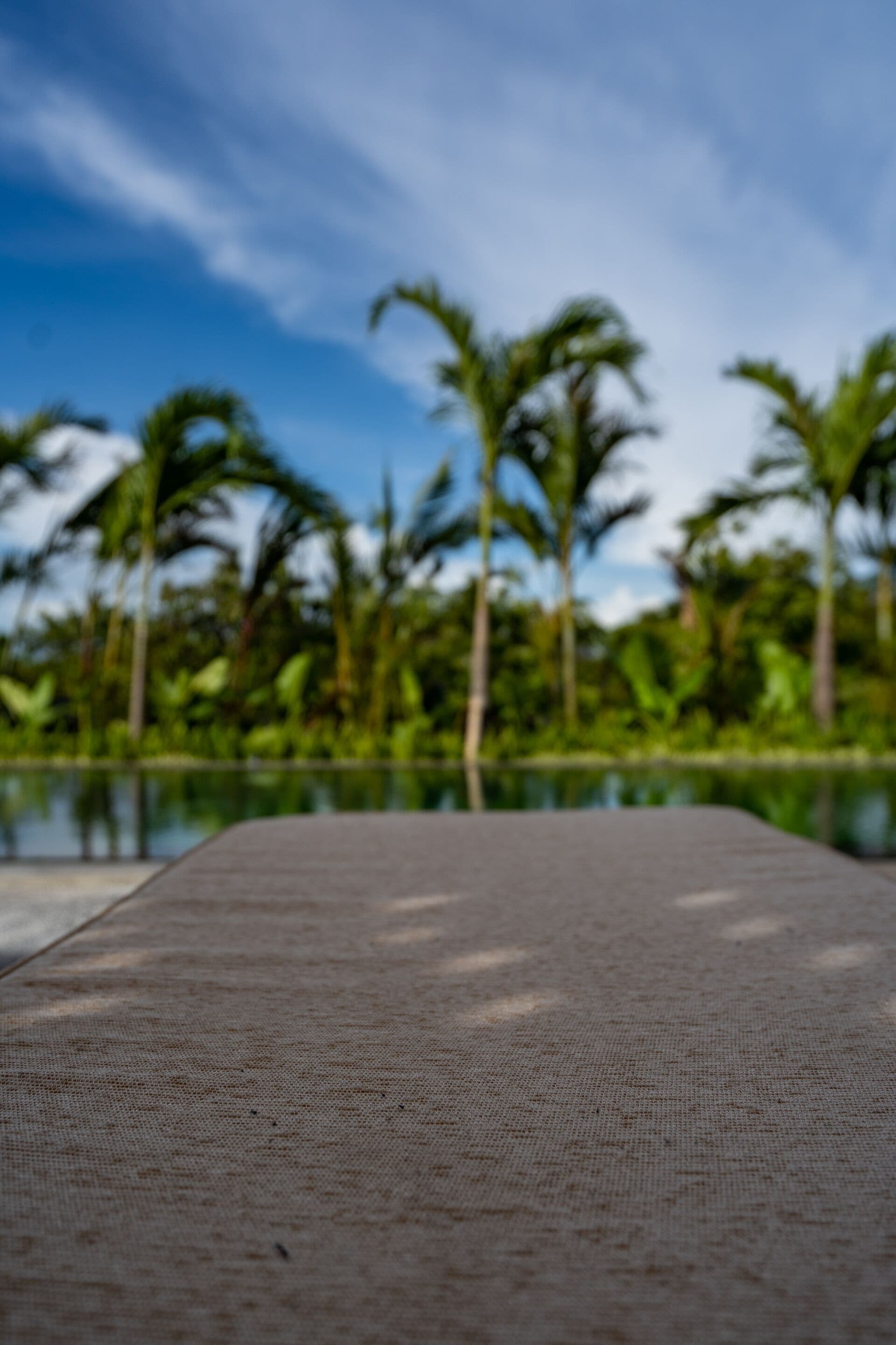 Zona de descanso junto a la piscina, con vista a palmeras y un cielo despejado.