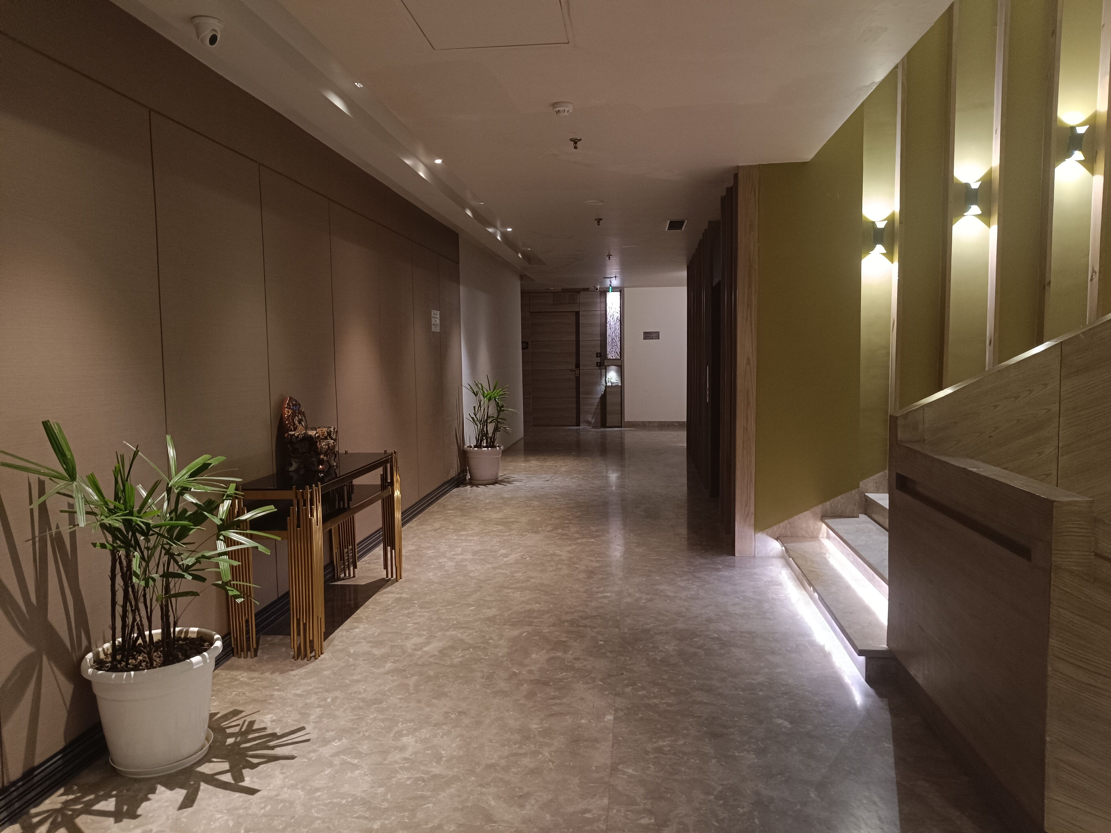 A hallway with a potted plant, a wooden bench, and a staircase.