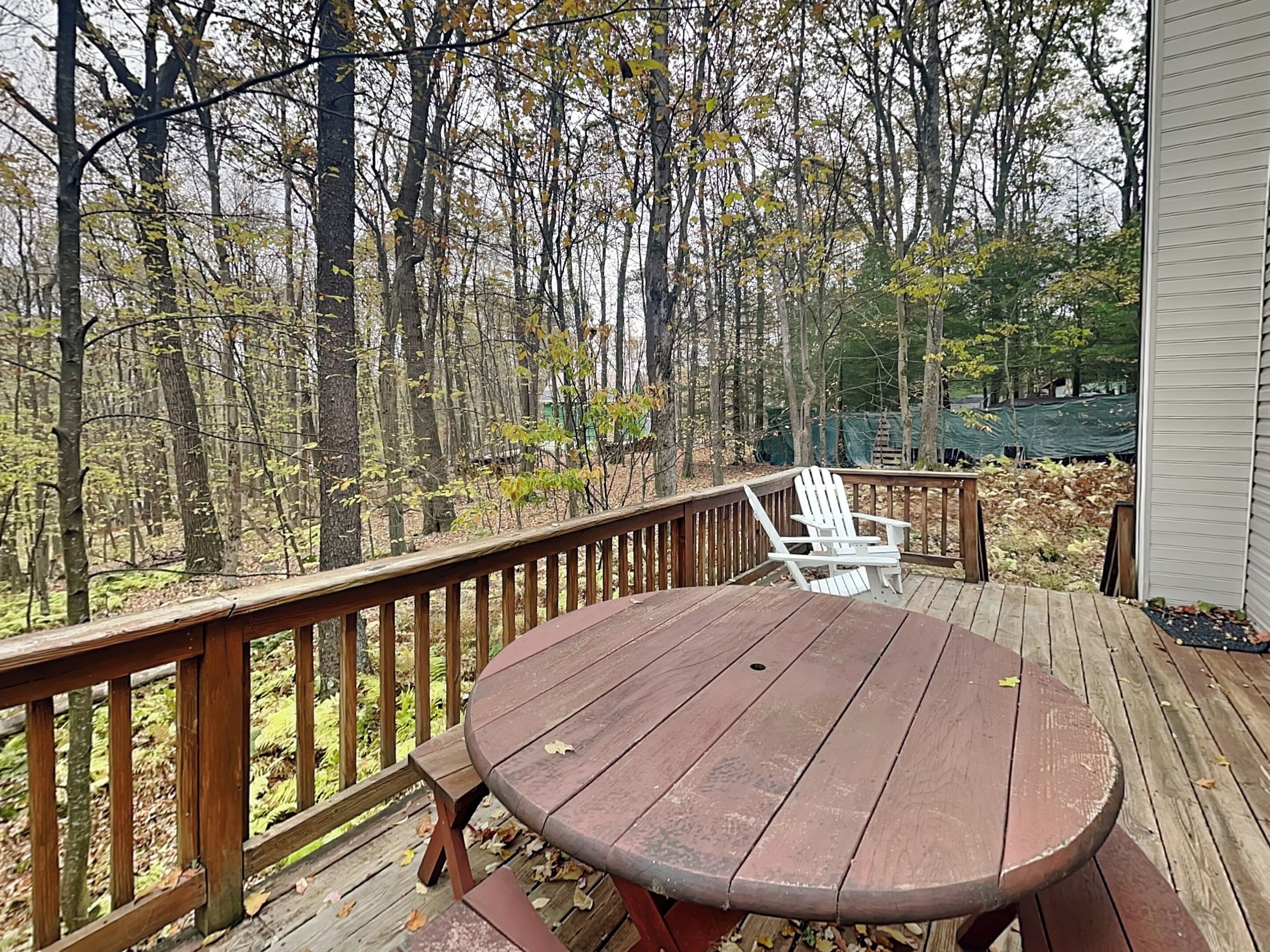 Servicio de la propiedad