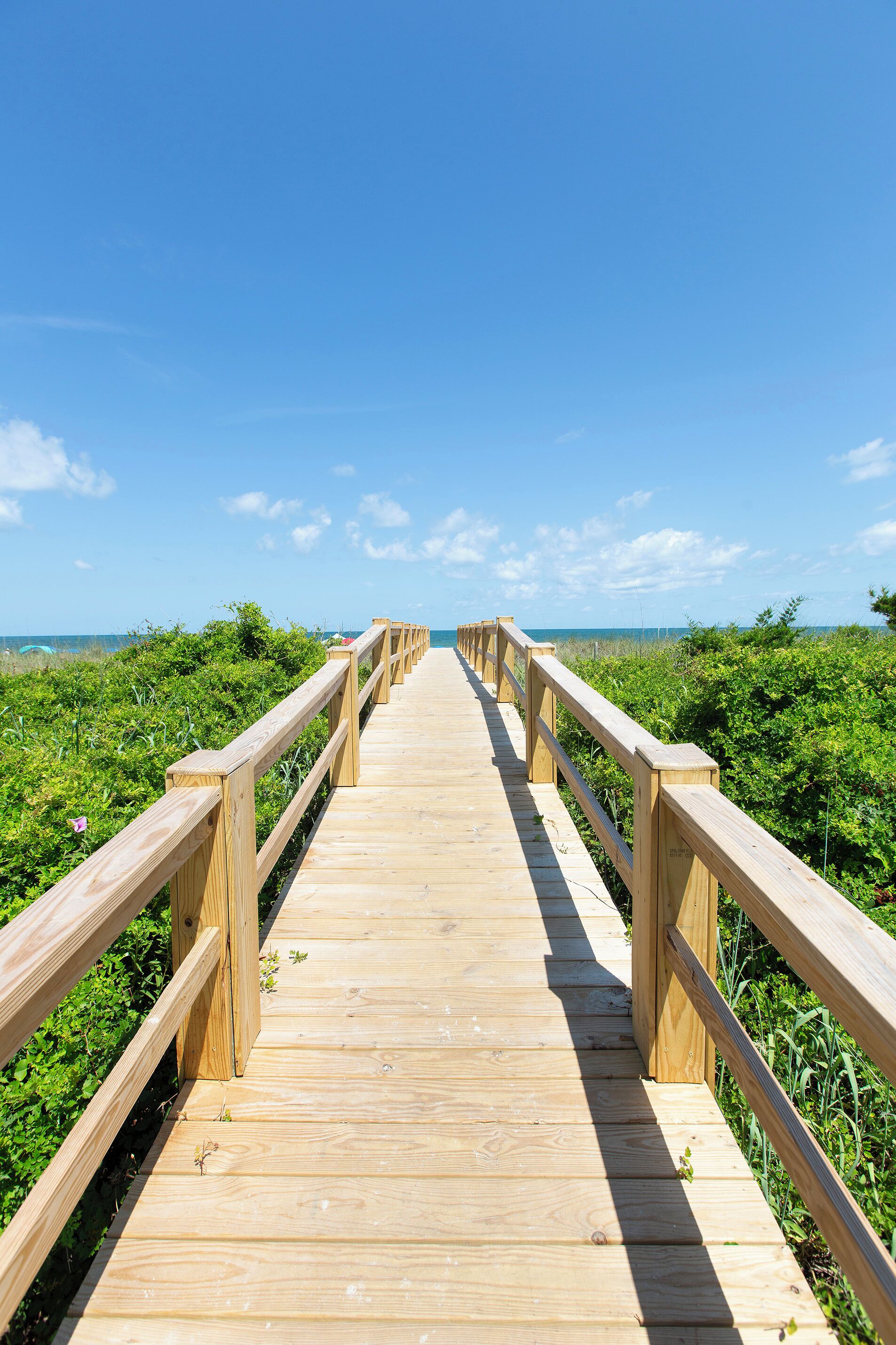 A wooden boardwalk leading to the beach, surrounded by greenery.