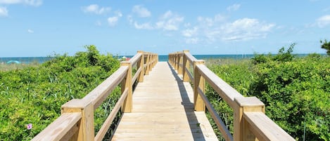 Una pasarela de madera que conduce a la playa, rodeada de vegetación.
