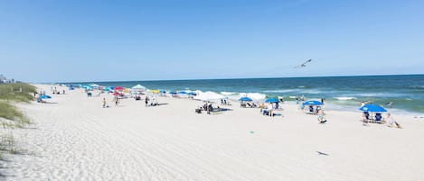 On the beach, beach bar