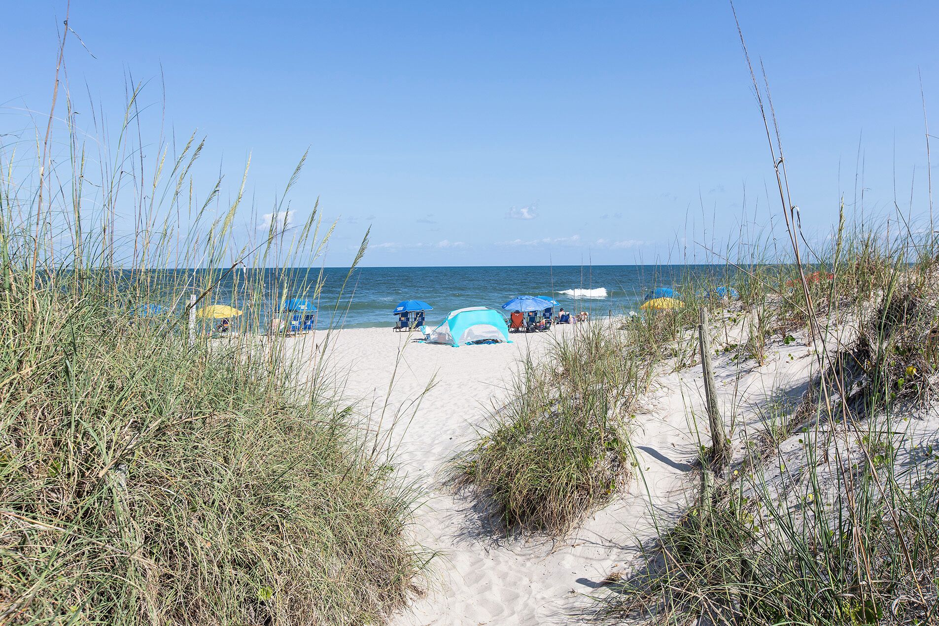A beach with tents and umbrellas, sandy paths, and tall grasses.