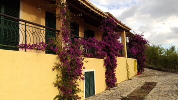 Detalle del exterior