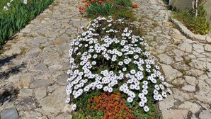 A stone pathway leading to a building with a garage door, surrounded by a garden with white and orange flowers. - Casa do Castelao (Loulé)