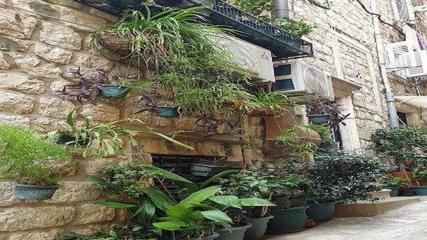 A narrow stone-paved alley with potted plants on the walls and steps. - PK Apartments - Dubrovnik (Dubrovnik)