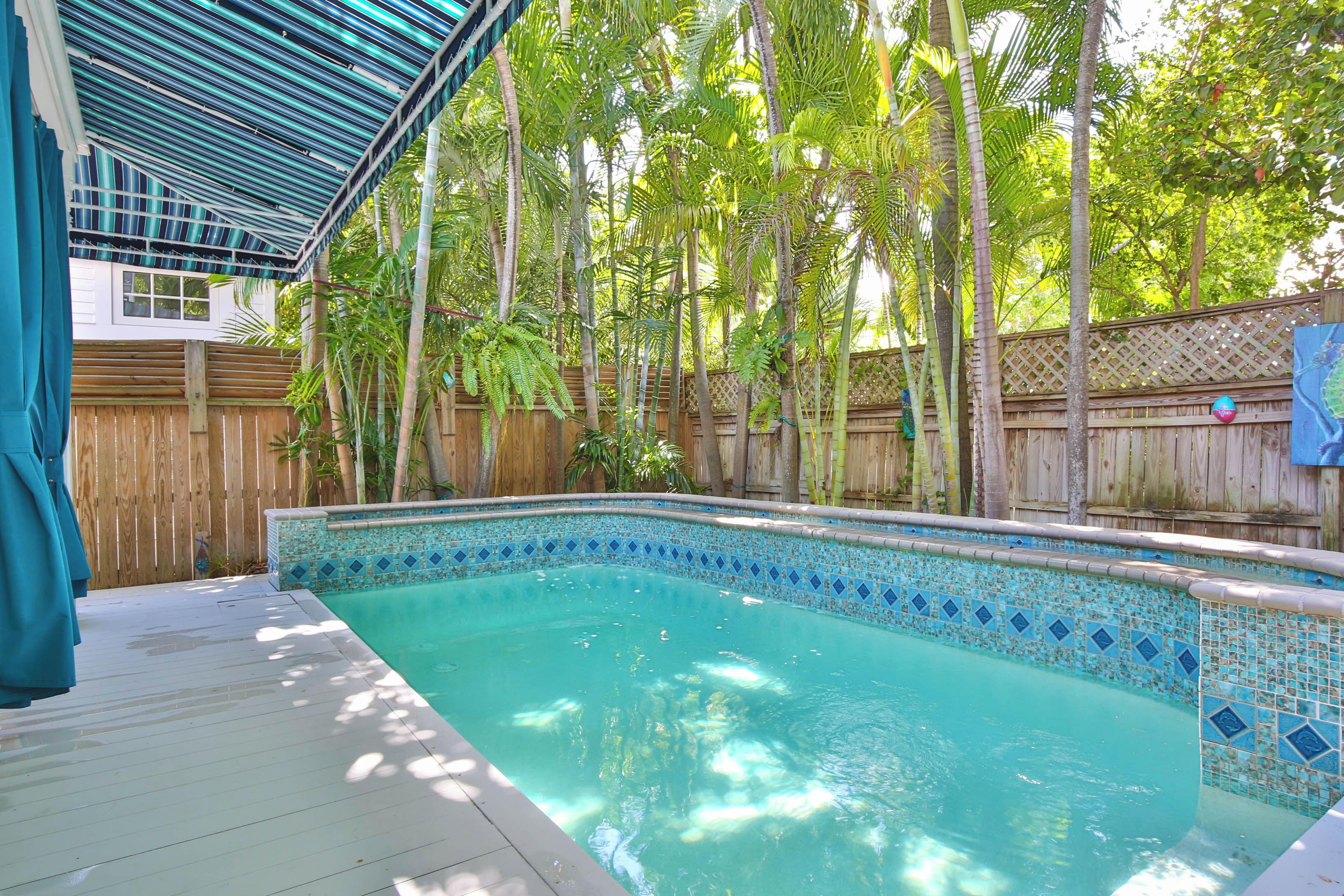 A swimming pool with a tiled edge, surrounded by a wooden fence and tropical vegetation.