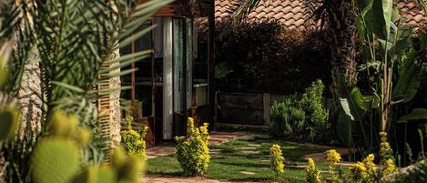 A garden pathway leading to a building with a tiled roof, surrounded by various plants and shrubs.