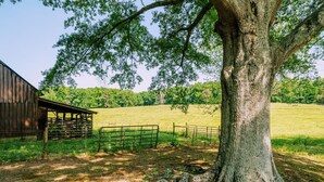 A barn, a large tree, and a fenced field. - Homestead @ Oakley Farms (Cumming)