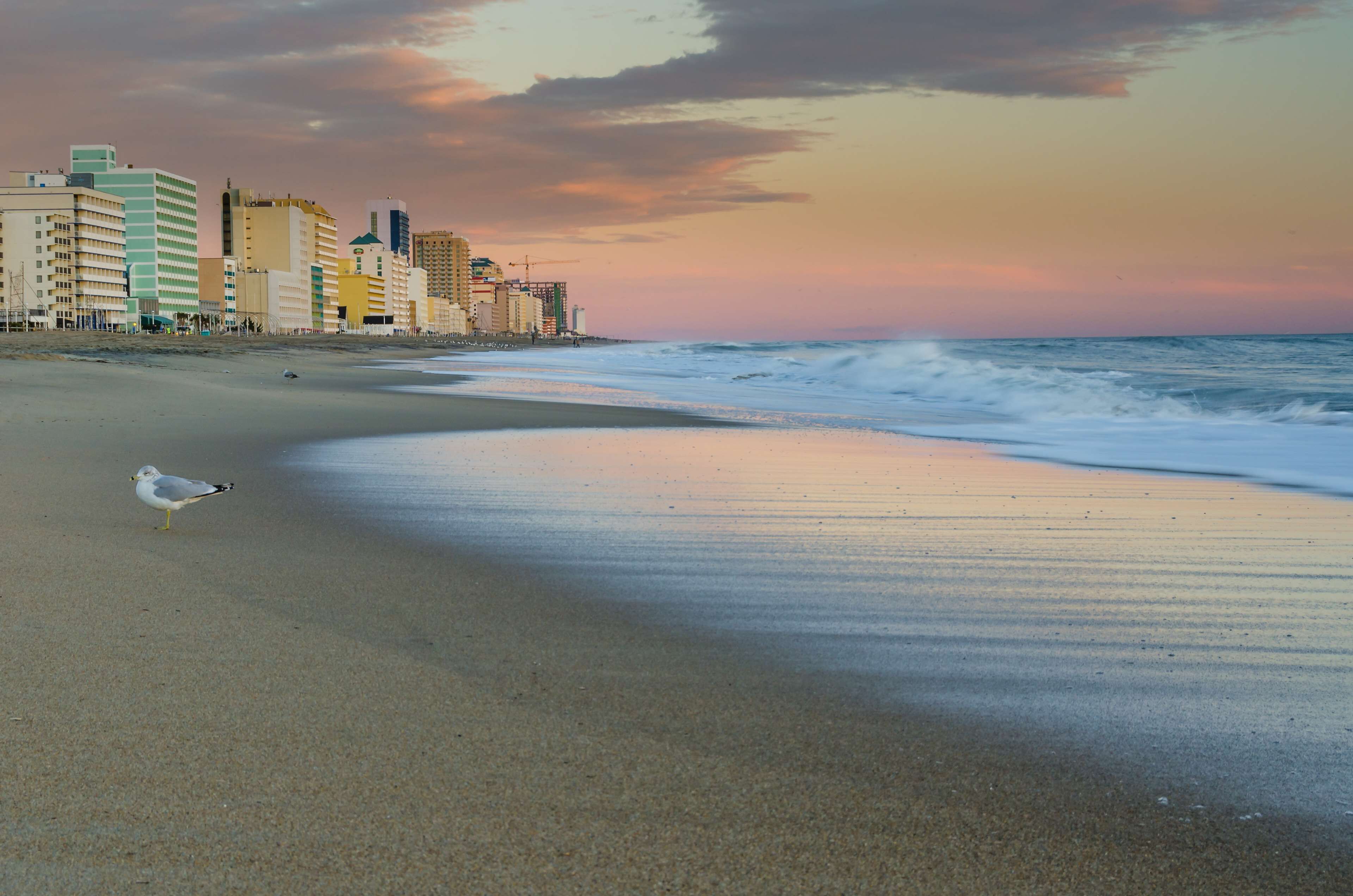 Foto - Hyatt Place Virginia Beach / Oceanfront