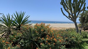 Une plage bordée de cactus et de plantes en fleurs au premier plan, un ciel bleu dégagé et l’océan en arrière-plan.