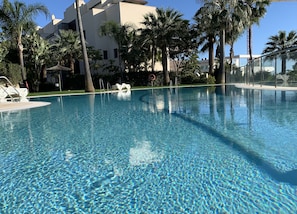 A clear swimming pool surrounded by palm trees and modern buildings.