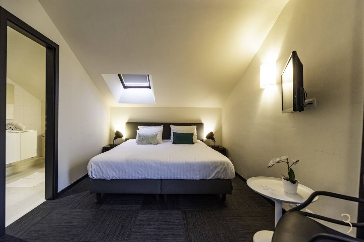 Una habitación de hotel moderna con una cama grande, un tragaluz, una pequeña mesa con una planta y un televisor montado en la pared.