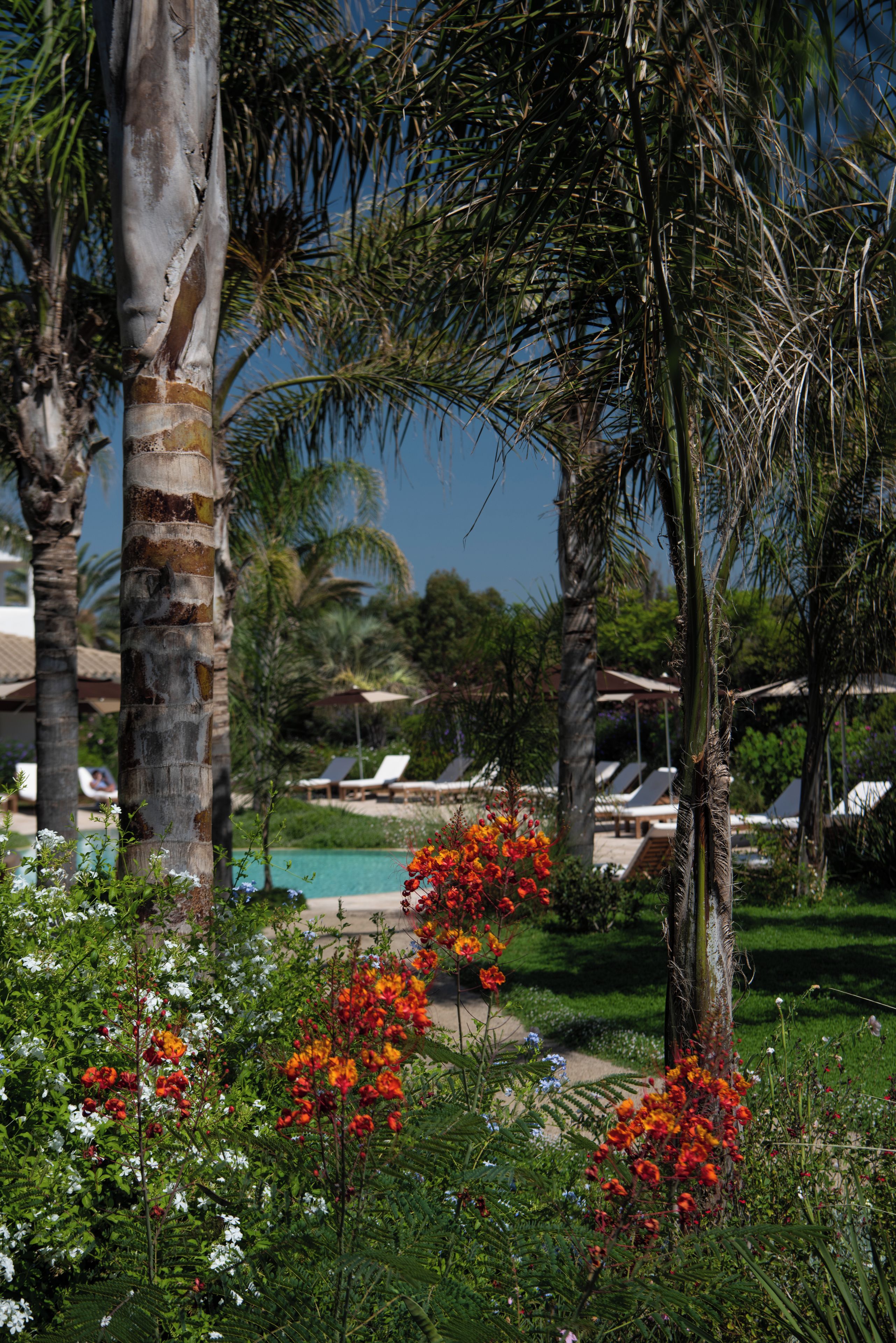 Un resort tropical con palmeras, piscina y sillas de descanso.