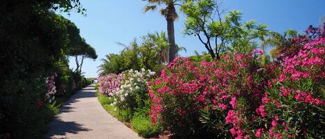 A pathway flanked by lush greenery and vibrant pink flowers, leading towards a clear blue sky.