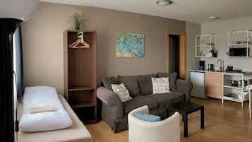 1 bedroom/studio apartment | Living area