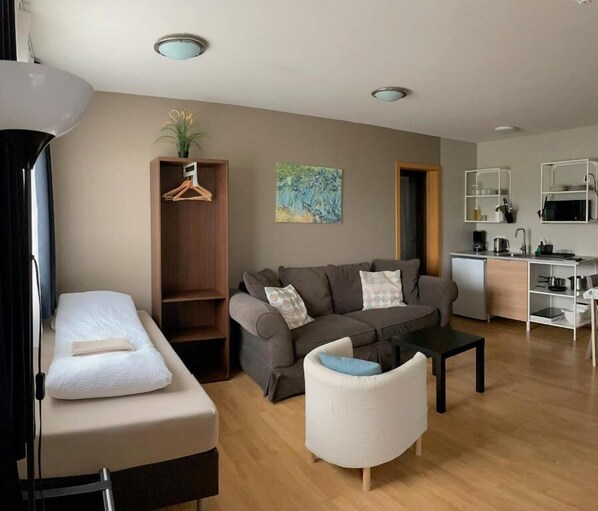 1 bedroom/studio apartment | Living area