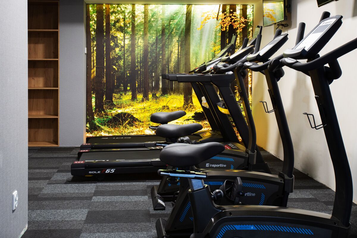 A gym with treadmills, a stationary bike, and a wall mural of a forest.