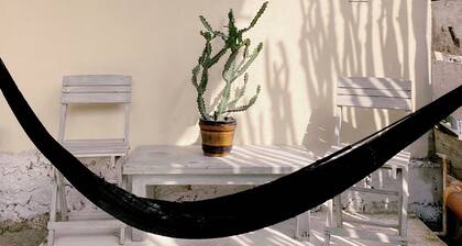 Casa Gonza By Holbox Rents.
