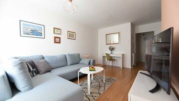 Apartment (One Bedroom Apartment) | Living room | TV