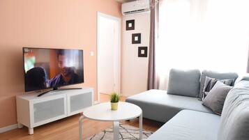 Apartment (One Bedroom Apartment) | Living room | TV