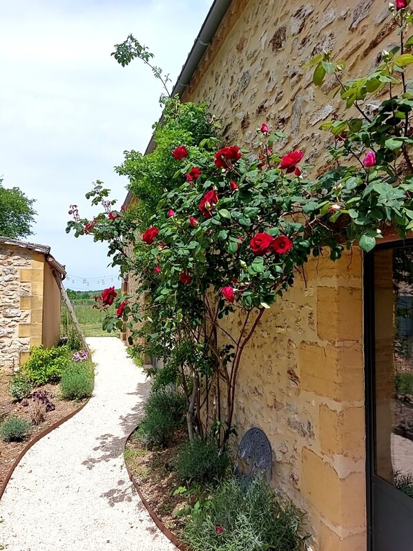 Détail de l’extérieur