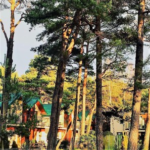 Terrein van de accommodatie