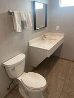A bathroom with a toilet, a sink, and a mirror.