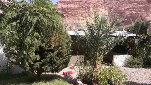 Un jardín con varios árboles y una formación rocosa al fondo.
