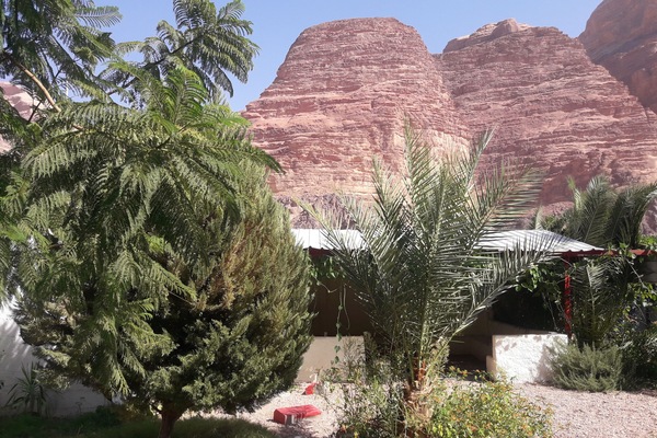 Basic Single Room B | Terrace/patio