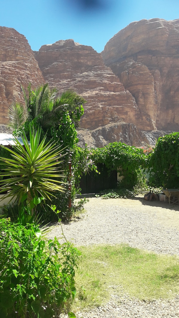 Jardin