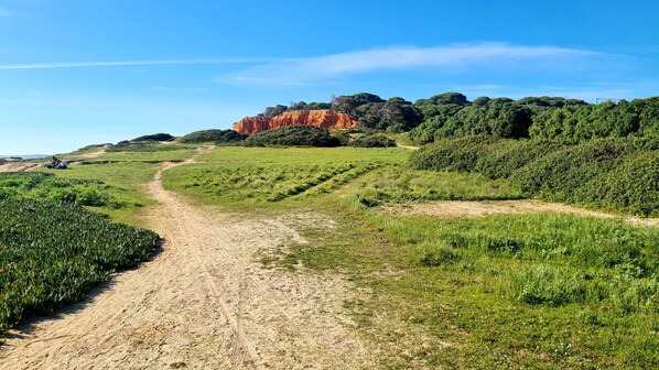 A dirt path leading through a green field with a red cliff in the background. - Albufeira Balaia Mar e Sol (Albufeira)